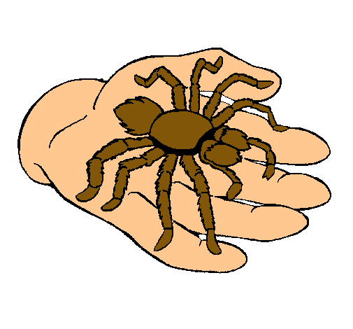 Tarántula