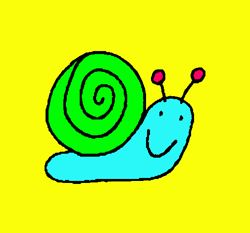 Caracol 4