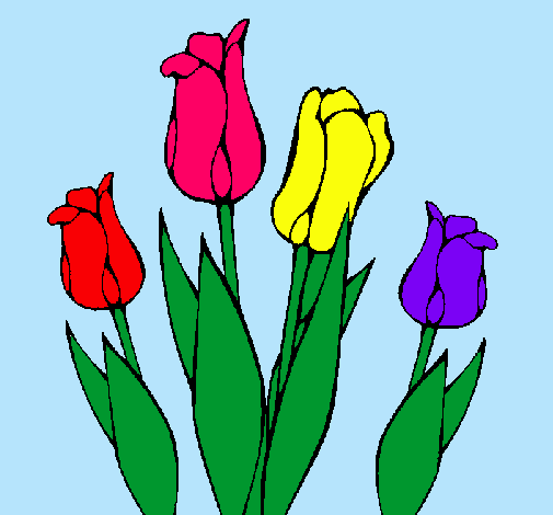 Tulipanes