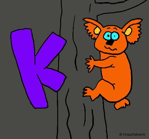 Koala