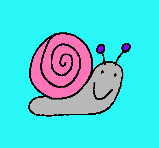 Caracol 4