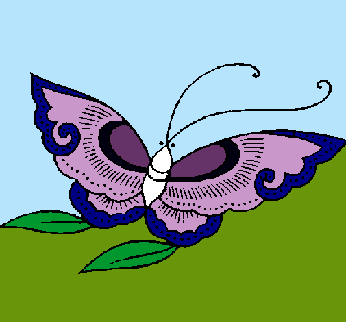 Mariposa