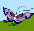 Dibujo Mariposa pintado por GIANLUCCA