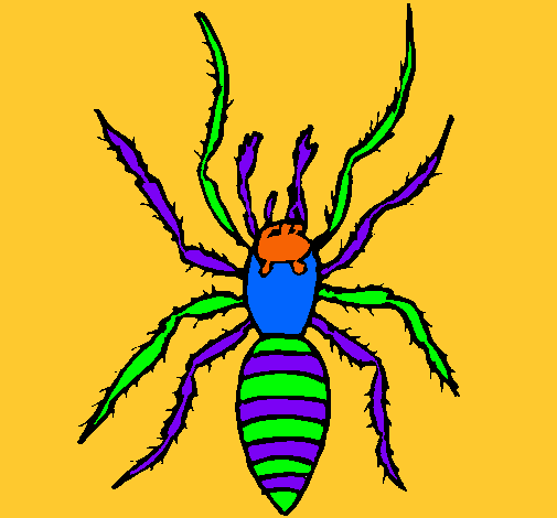 Araña tigre