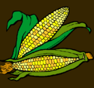Dibujo Mazorca de maíz pintado por chofis