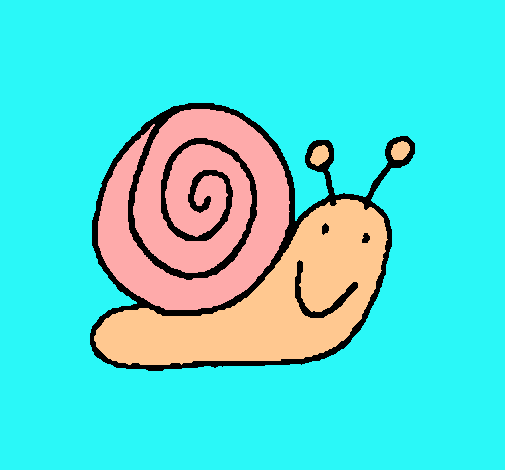 Caracol 4