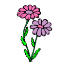 Dibujo Margaritas pintado por florcitas
