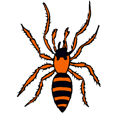 Araña tigre