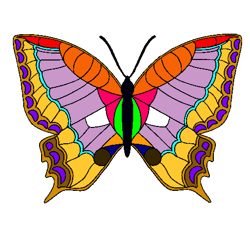 Mariposa