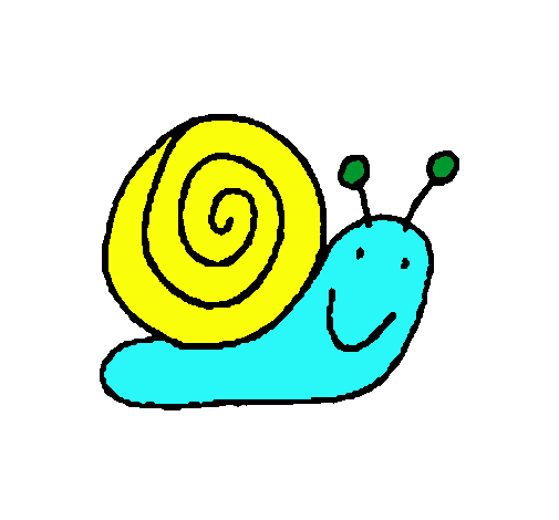 Caracol 4