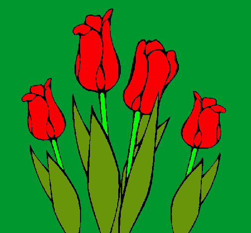 Tulipanes