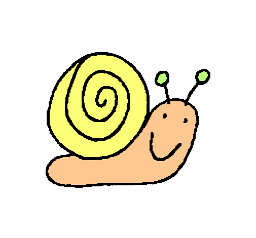 Caracol 4