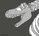 Dibujo Esqueleto tiranosaurio rex pintado por africa