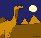 Dibujo Camello pintado por jassica