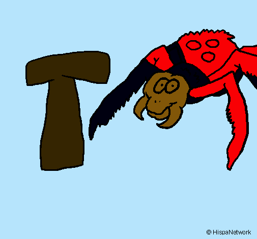 Tarántula