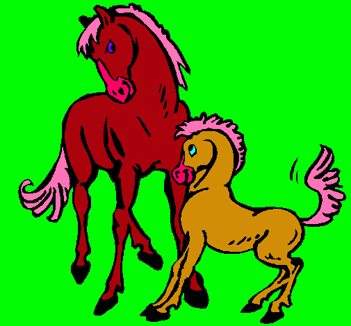 Caballos