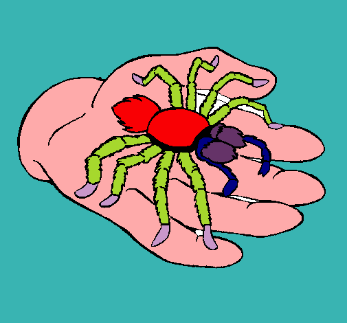 Tarántula