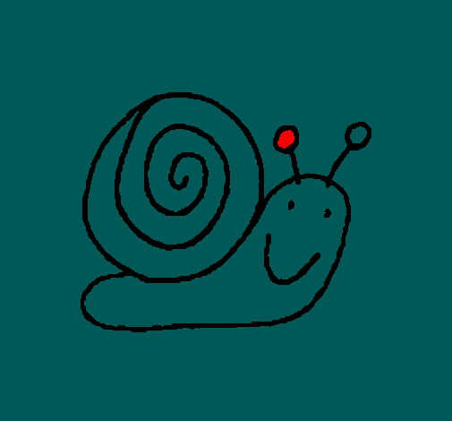 Caracol 4