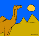 Dibujo Camello pintado por leochuci