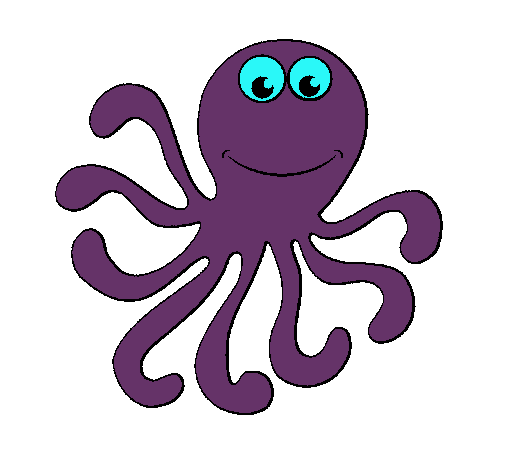 Pulpo 2