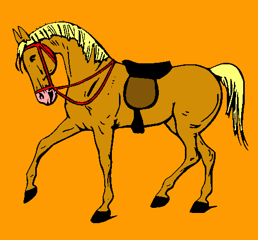 Caballo de competición