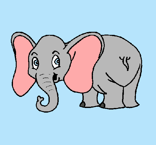 Elefante pequeño