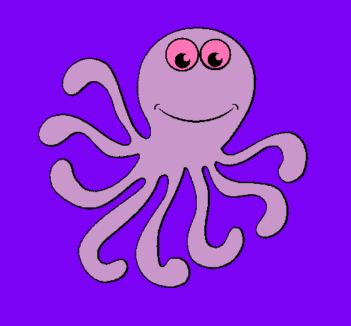 Pulpo 2