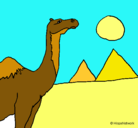 Dibujo Camello pintado por aitijj