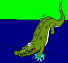 Dibujo Aligátor entrando al agua pintado por lissandro
