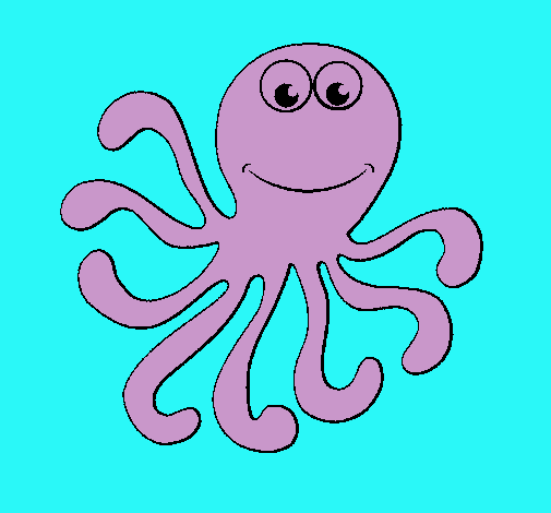 Pulpo 2