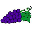 Dibujo racimo pintado por uvas