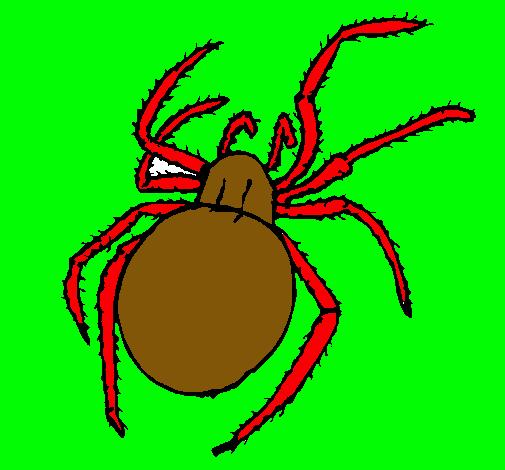 Araña venenosa