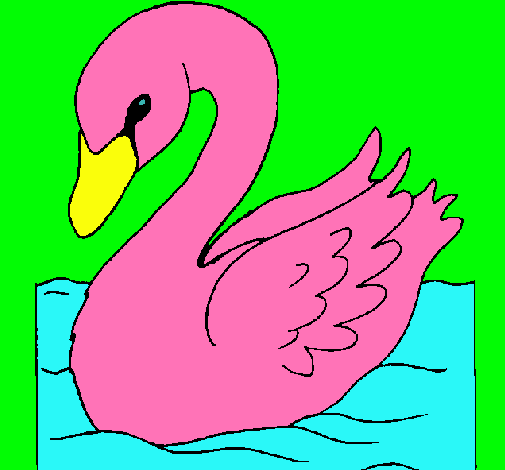 Cisne