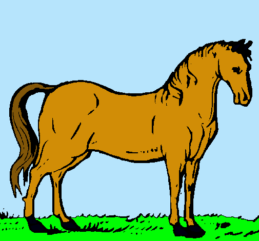 Caballo andaluz