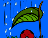 Dibujo Mariquita protegida de la lluvia pintado por Napolitana97