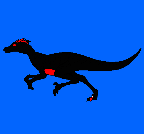 Velociraptor