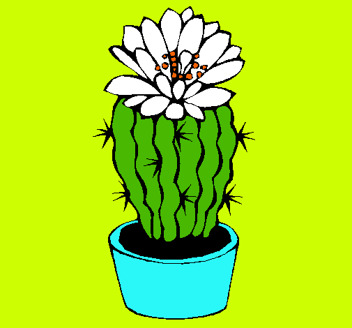 Cactus con flor