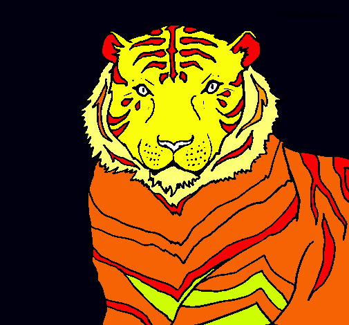 Tigre