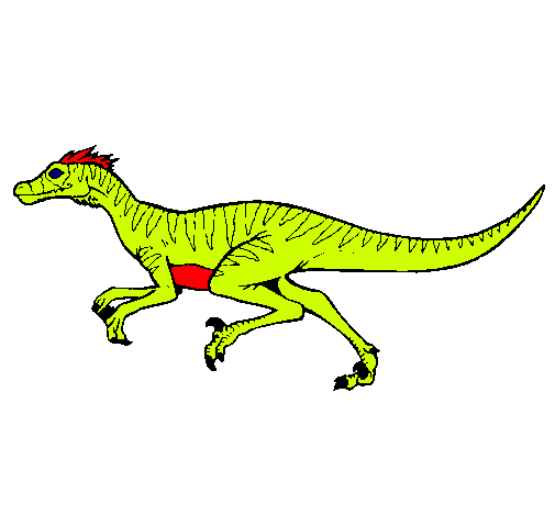 Velociraptor