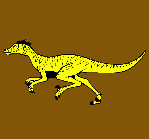 Velociraptor