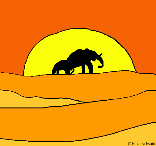 Elefante en el amanecer