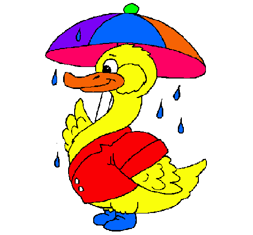 Pato bajo la lluvia