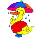 Dibujo Pato bajo la lluvia pintado por jhjnbnxc