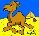 Dibujo Camello pintado por PINTADO
