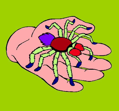 Tarántula