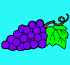 Dibujo racimo pintado por uvas