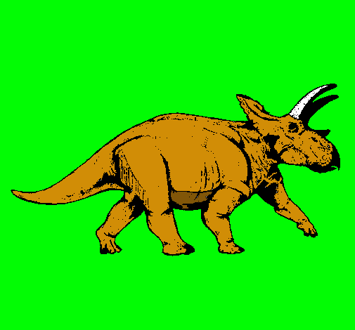 Triceratops