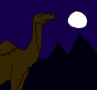 Dibujo Camello pintado por Chuci