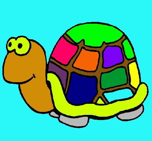 Tortuga