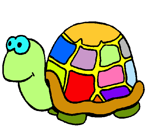 Tortuga